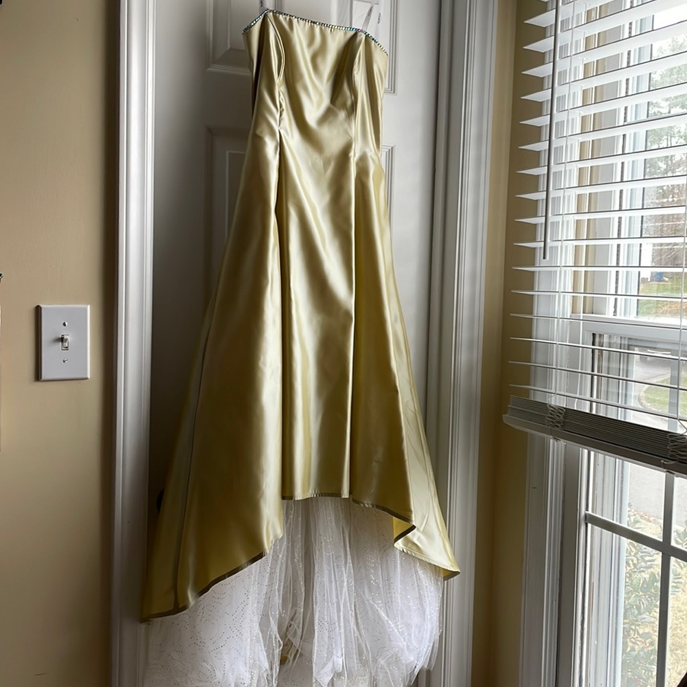 Roberta prom dress